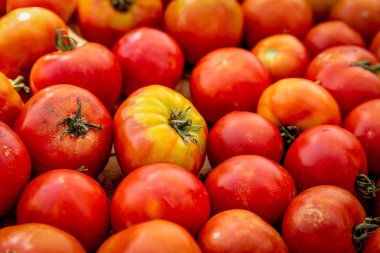 Close up display of varieties of heirloom tomatoes for sale at local outdoor farmers market