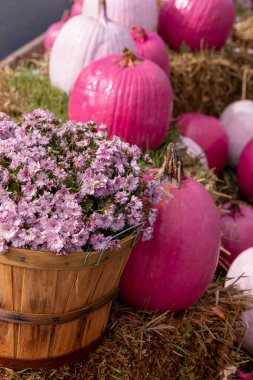 Bushel basket filled with pink mums and painted pink pumpkins sitting on bales of hay