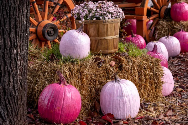 Autumn display of pink painted pumpkins and bushel basket filled with pink mum flowers sitting on bales of hay in front of a wagon