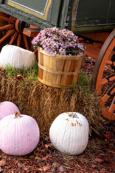 Decorative display with pink mum flowers in bushel basket surrounded by pink and white painted pumpkins on bales of hay in front of wagon