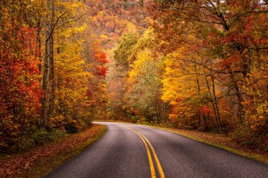 Büyük Smoky Dağları 'ndaki Blue Ridge Parkway boyunca sonbahar manzaralı sürüş