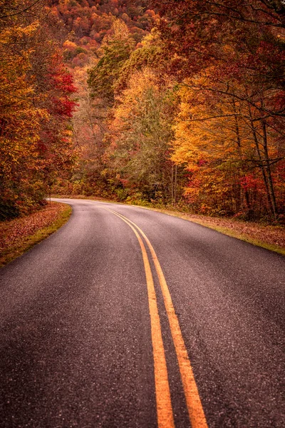 Scenic Fall Drive Curve Road Peak Fall Color Smoky Mountains — Photo