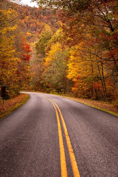 색깔의 나뭇잎으로 스모키 산맥의 아름다운 자동차를 구불구불 나아간다 — 스톡 사진