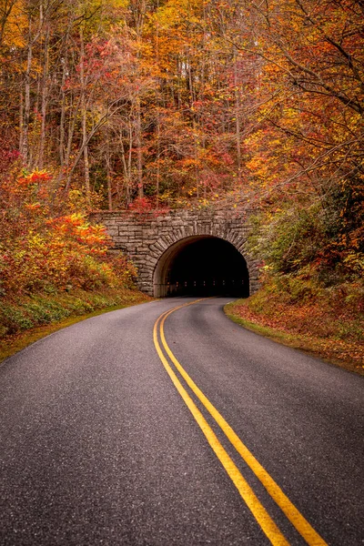 Tunnel Sur Route Long Blue Ridge Parkway Pendant Haute Saison — Photo