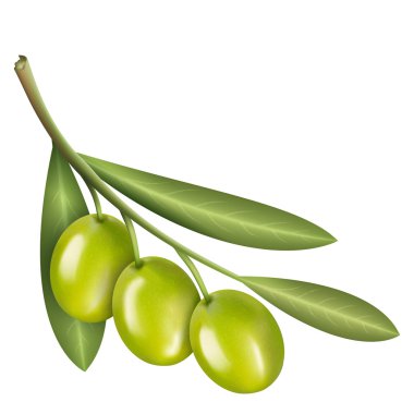 zeytin
