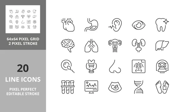 Ensemble Icônes Pour Soins Hospitaliers Médicaux Aperçu Collection Symboles Course — Image vectorielle