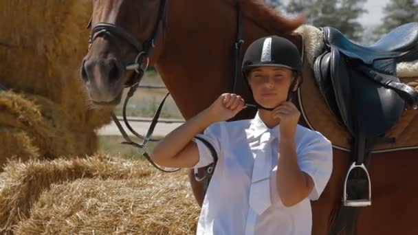 Lovas sport: jockey helyezi a sisak. ló áll közel. — Stock videók