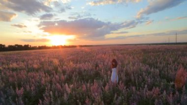 Young attractive woman in the flower meadow