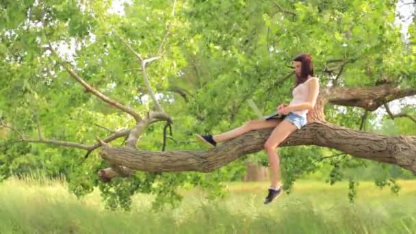 Young beautiful girl sitting on the tree with laptop — Stock Video