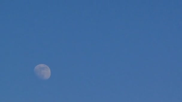 Měsíc modrá obloha time-lapse — Stock video