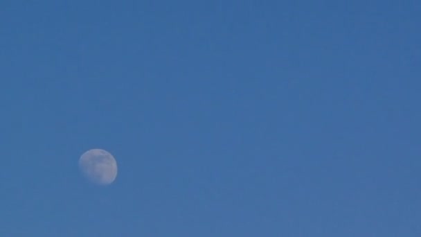 Moon Blue Sky Time-Lapse — Stock Video