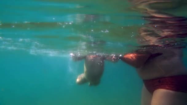 Niño con su madre nadando bajo el agua — Vídeos de Stock