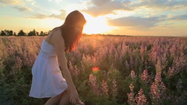 Young attractive woman in the flower meadow — Stockvideo