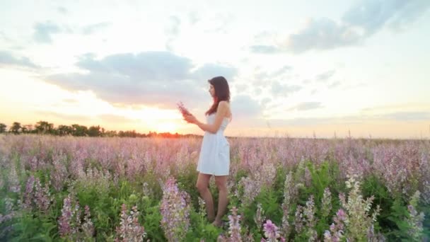 Jeune femme attrayante dans la prairie de fleurs — Video