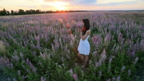 Young attractive woman in the flower meadow — Stock Video