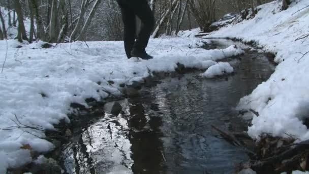 漫步在雪中的一条河边的人 — 图库视频影像