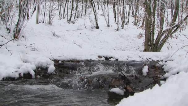 Zimní řeka — Stock video