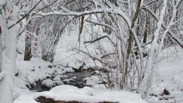 Río de invierno — Vídeo de stock