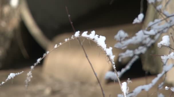 污水管 — 图库视频影像