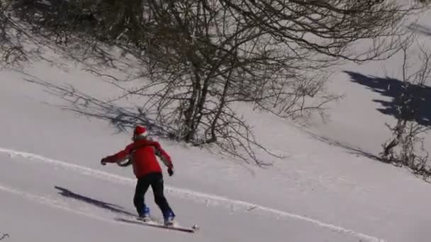 Сноубордист — стоковое видео