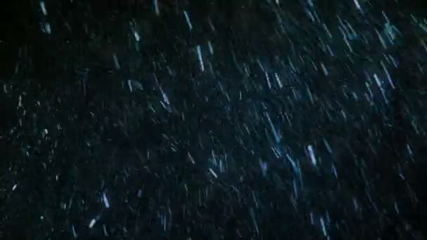 Schneefall im Winter — Stockvideo