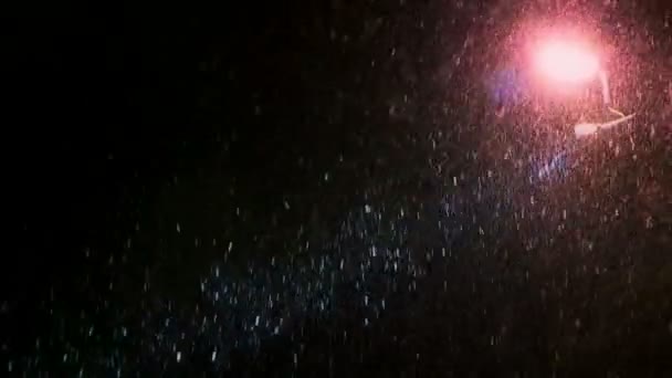 Lampione stradale e neve cadono di notte — Video Stock