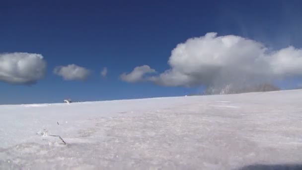 雪を吹く風 — ストック動画