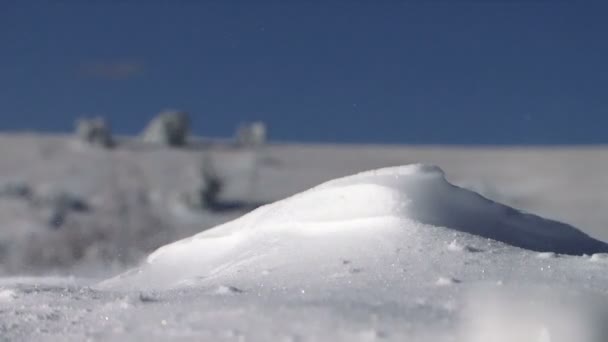 Wind blowing snow — Stock Video