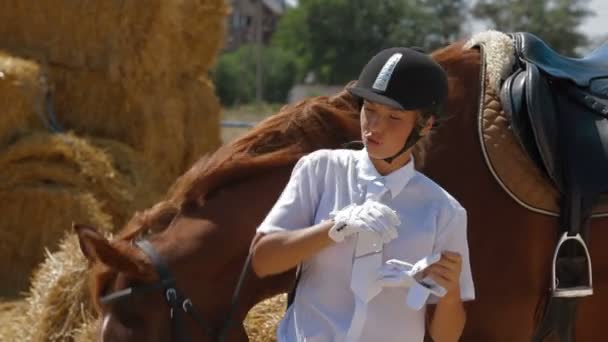 Жокей и её лошадь — стоковое видео