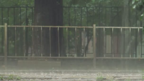 雨中的交通 — 图库视频影像