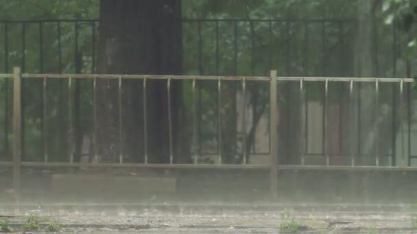 Tráfego na chuva — Vídeo de Stock