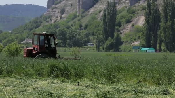 Traktor mäht Gras — Stockvideo