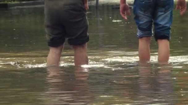 自然災害： 洪水と人々 — ストック動画