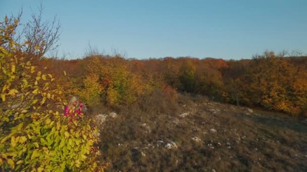 Fille vient à la brousse — Video