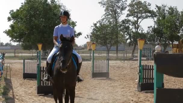 Zkušební verze sportovní koně — Stock video
