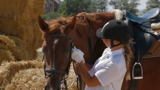 Flicka jockey med hennes häst — Stockvideo