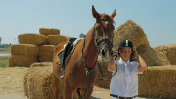 Mooie jockey leidt paard — Stockvideo