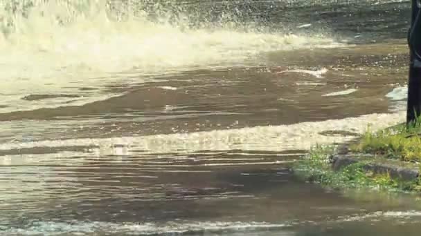 Cars Move In Flood — Stock Video