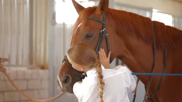 Jockey en haar paard — Stockvideo
