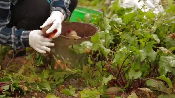 Werkzaamheden op het terrein — Stockvideo