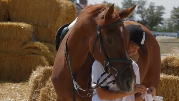 Carrera de caballos: Ropa deportiva — Vídeo de stock