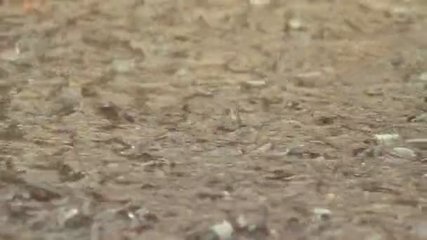 Капли воды падают на влажную поверхность — стоковое видео