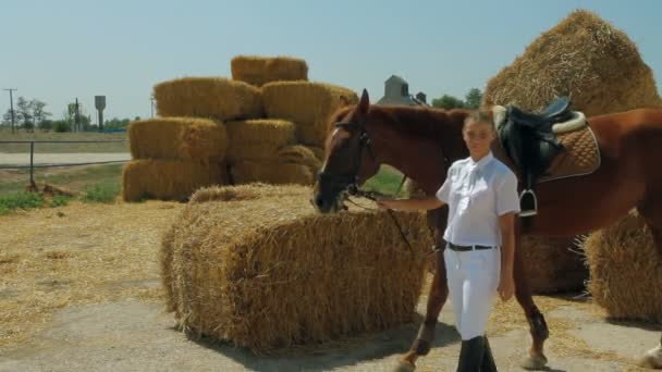 Mooie jockey leidt paard — Stockvideo