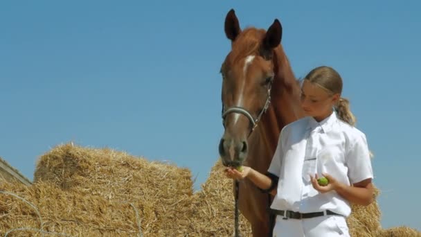 Bonito jockey lidera caballo — Vídeo de stock