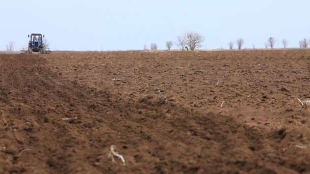 Tractor trabaja en tierras de cultivo — Vídeo de stock