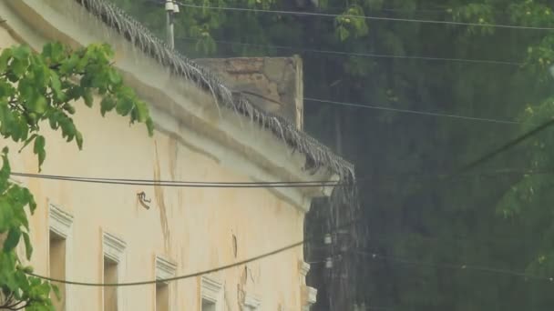 自然灾难： 重雨 — 图库视频影像