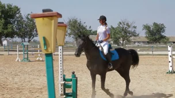 Paard sport — Stockvideo