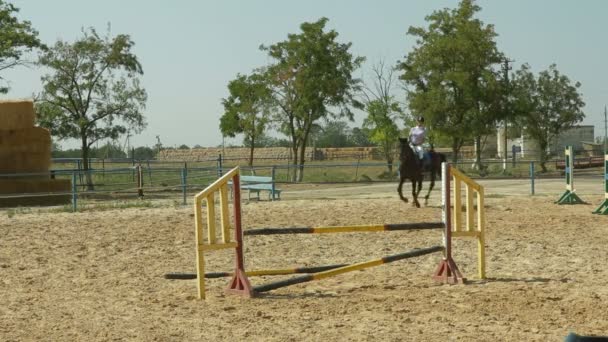 Equestrian Sport. Show Jumping — Stock Video