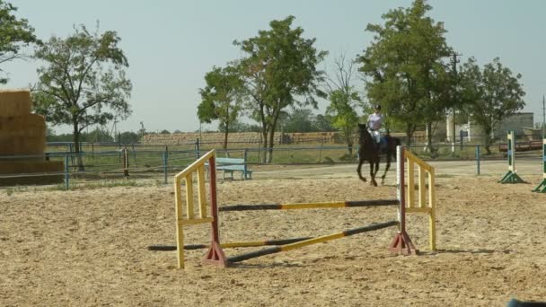 Sport équestre. Saut d'obstacles — Video