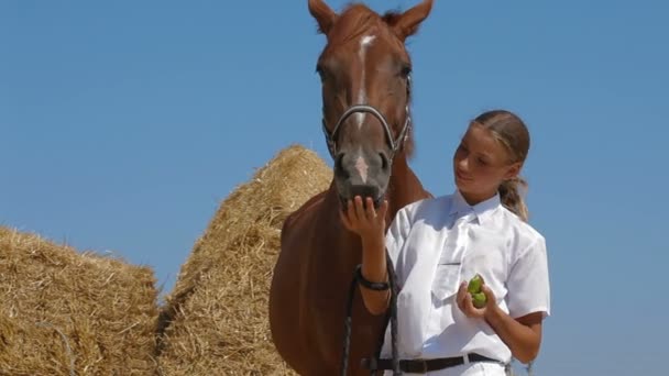 馬のスポーツ — ストック動画